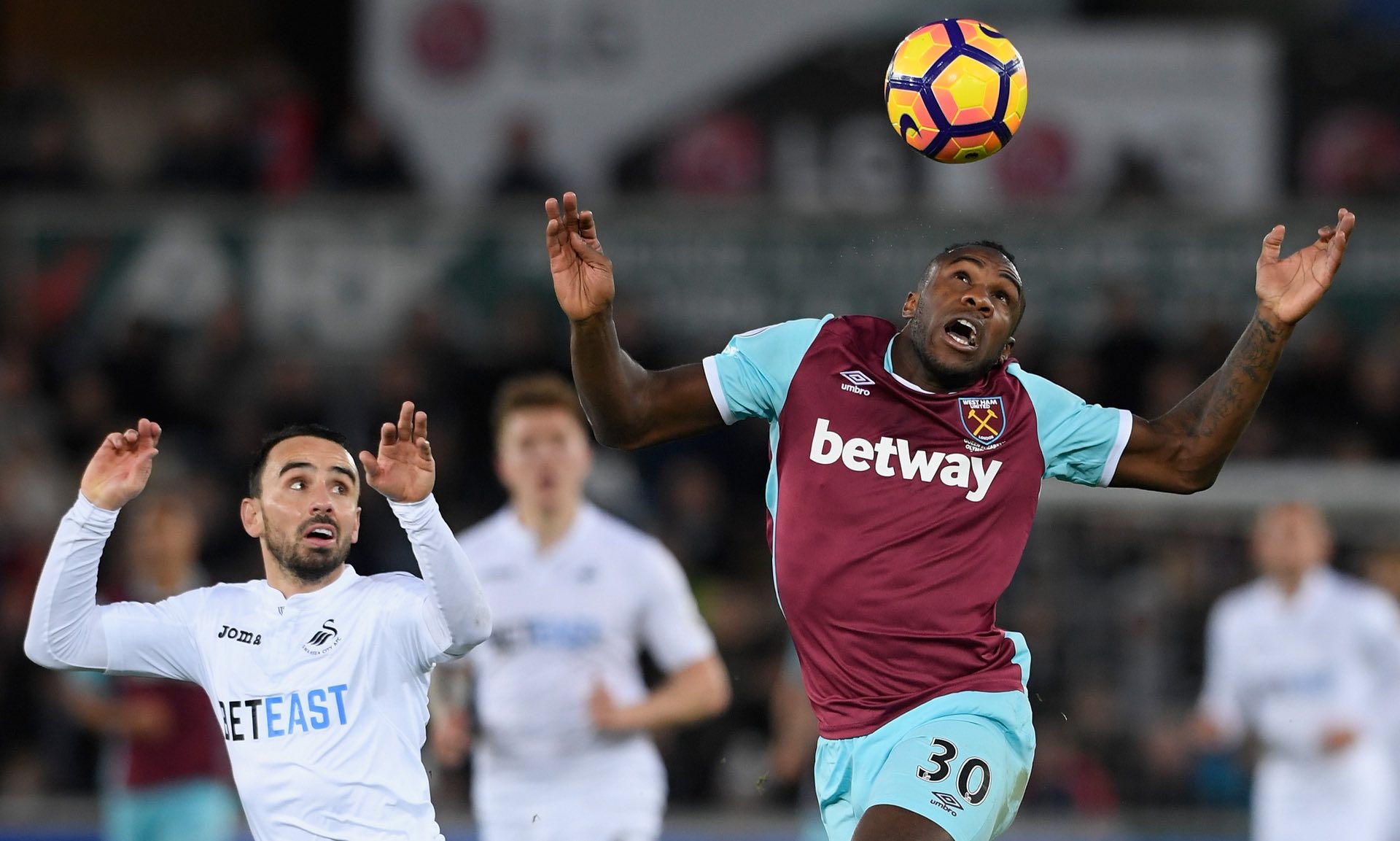 明星球员已 明星球员已